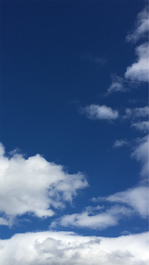 f:id:senjingaran5:20190512052024p:image f:id:senjingaran5:20190512052024p:image
