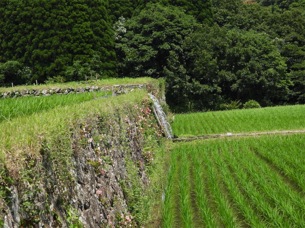 f:id:senjingaran5:20190715033115j:image f:id:senjingaran5:20190715033115j:image