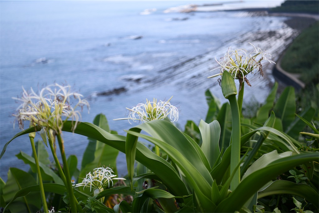 f:id:senjingaran5:20190715033307j:image f:id:senjingaran5:20190715033307j:image