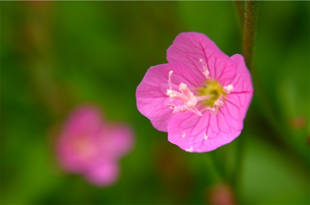 f:id:senjingaran5:20250507040937j:image f:id:senjingaran5:20250507040937j:image