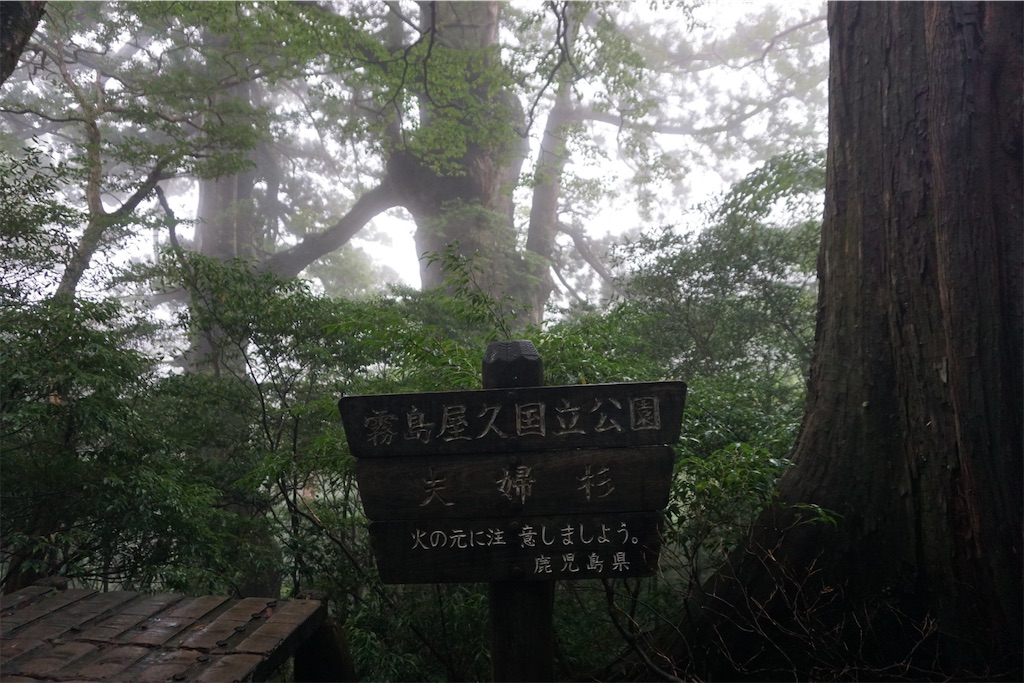 f:id:senkoiuhana:20201018120937j:image f:id:senkoiuhana:20201018120937j:image
