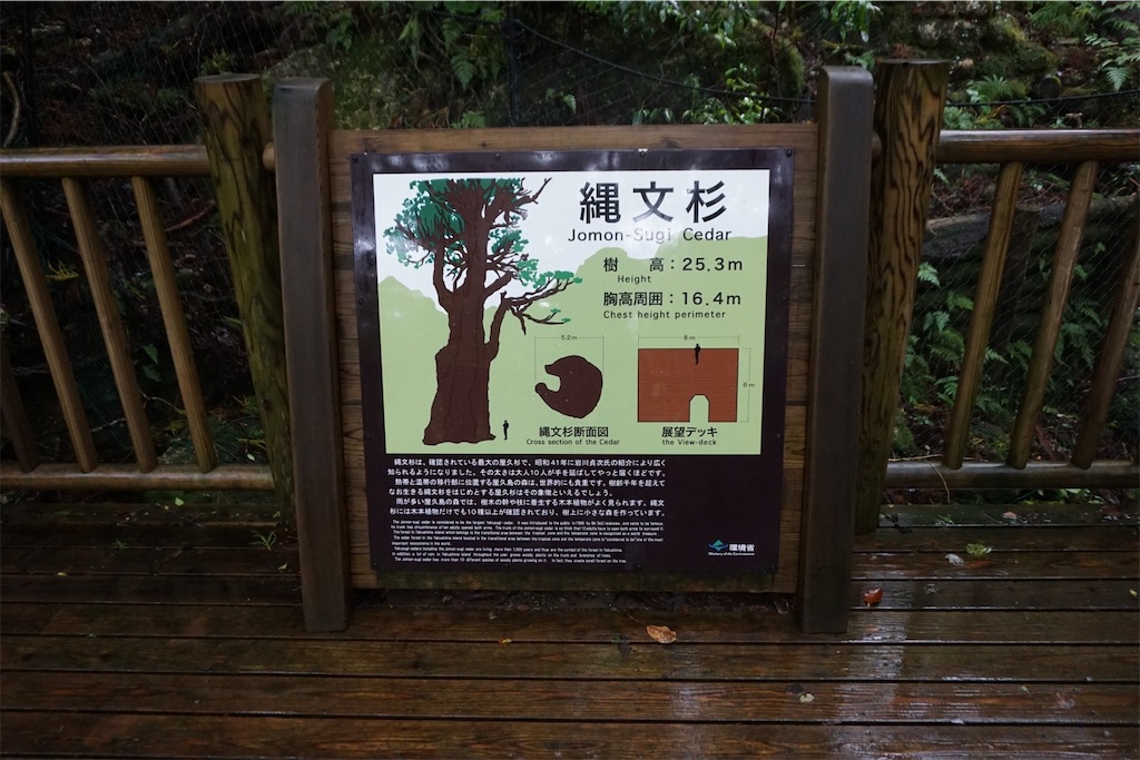f:id:senkoiuhana:20201018121133j:image f:id:senkoiuhana:20201018121133j:image