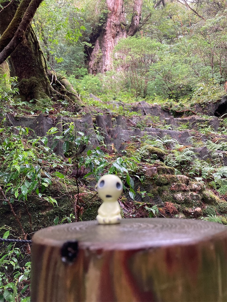 f:id:senkoiuhana:20201018121217j:image f:id:senkoiuhana:20201018121217j:image