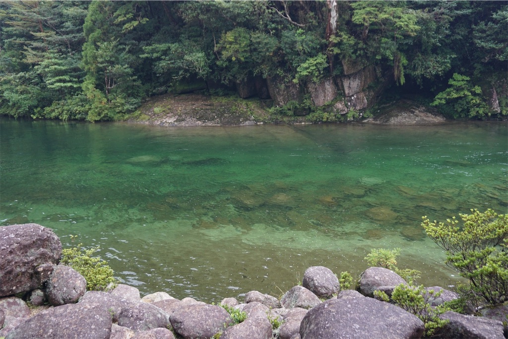 f:id:senkoiuhana:20201018121254j:image f:id:senkoiuhana:20201018121254j:image