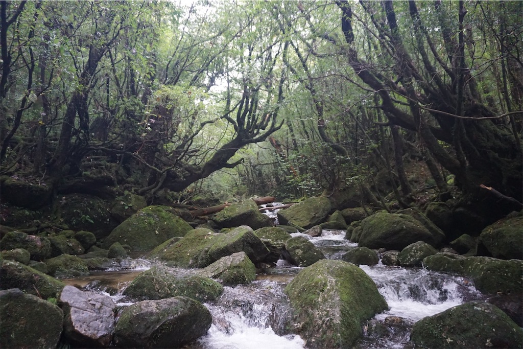 f:id:senkoiuhana:20201018121654j:image f:id:senkoiuhana:20201018121654j:image