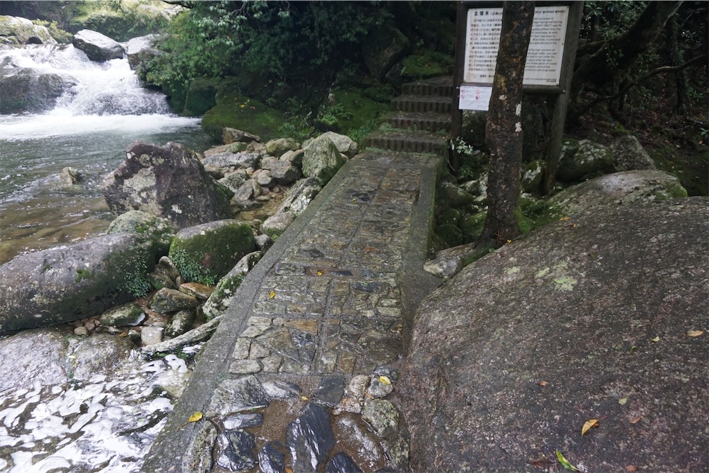 f:id:senkoiuhana:20201018121658j:image f:id:senkoiuhana:20201018121658j:image