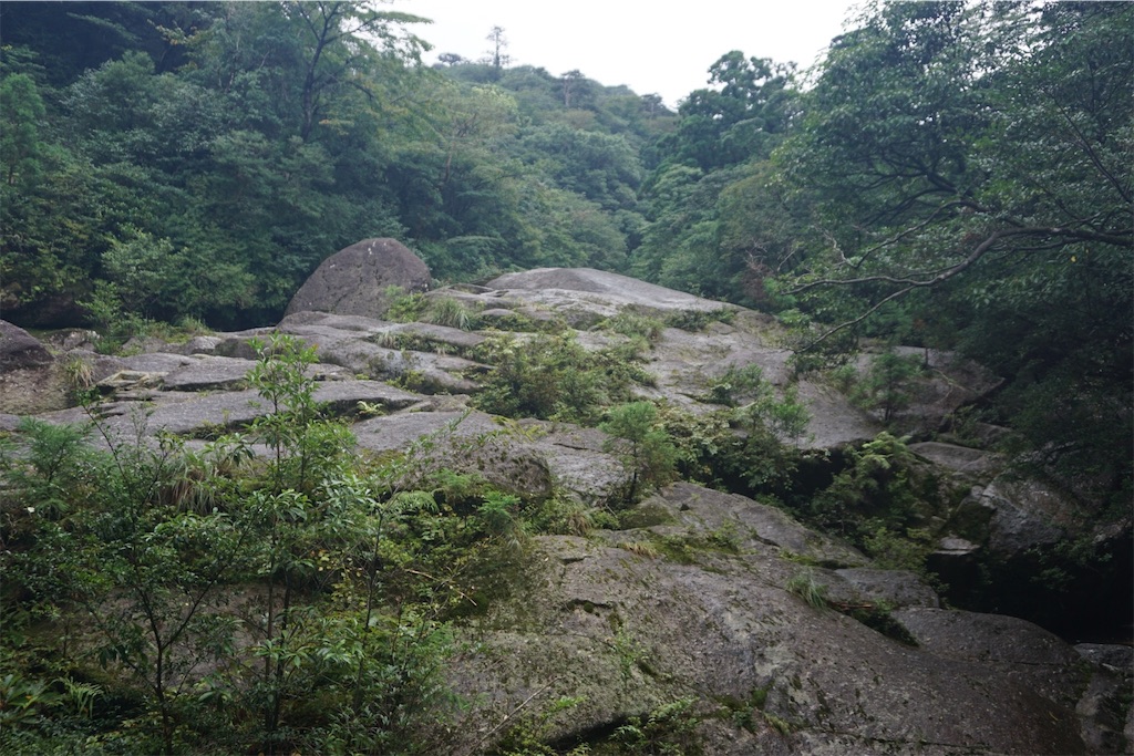 f:id:senkoiuhana:20201018121702j:image f:id:senkoiuhana:20201018121702j:image