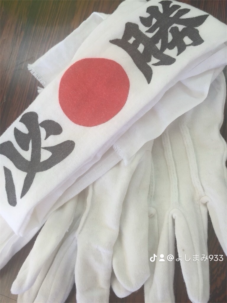 f:id:senkyo_bird:20240612221936j:image