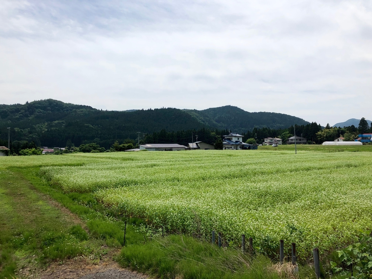 f:id:senmaitan:20200620202749j:plain