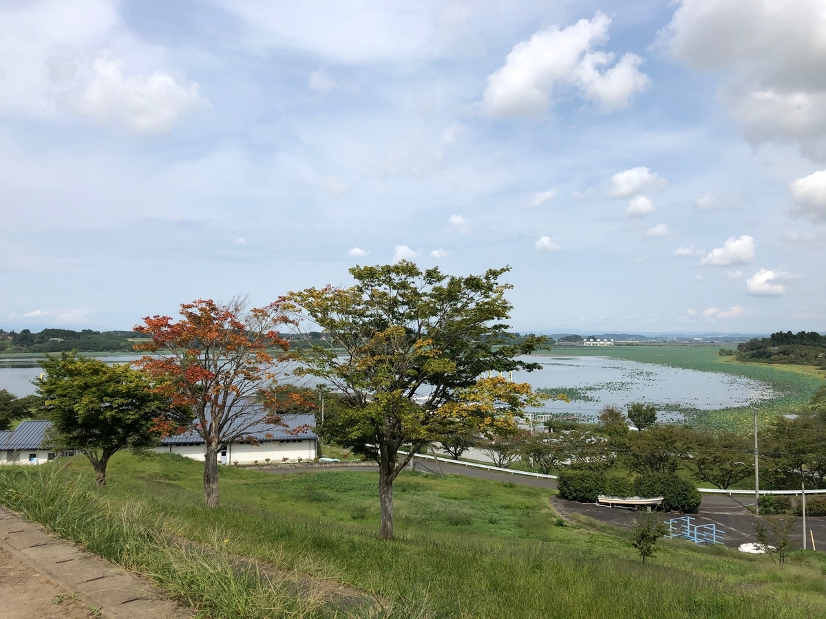 f:id:senmaitan:20201116201006j:plain