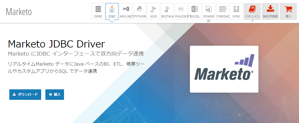 f:id:sennanvolar44:20201022232556p:plain