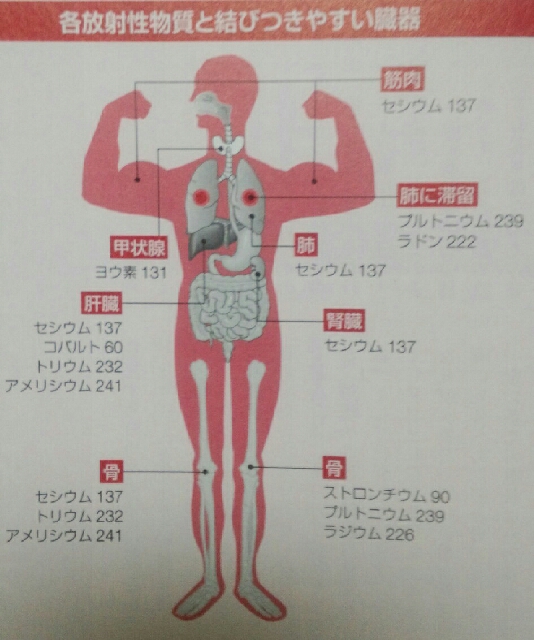 イメージ 4