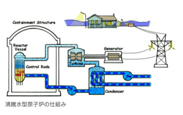 イメージ 4