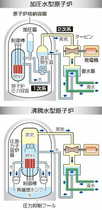 イメージ 6