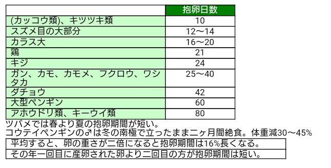 イメージ 5