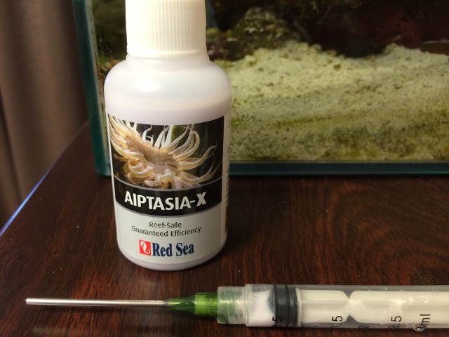f:id:sennich:20150620161623j:plain カーリー駆除にアイプタシアXという薬剤を使用した。サンゴに影響の無い薬剤です。