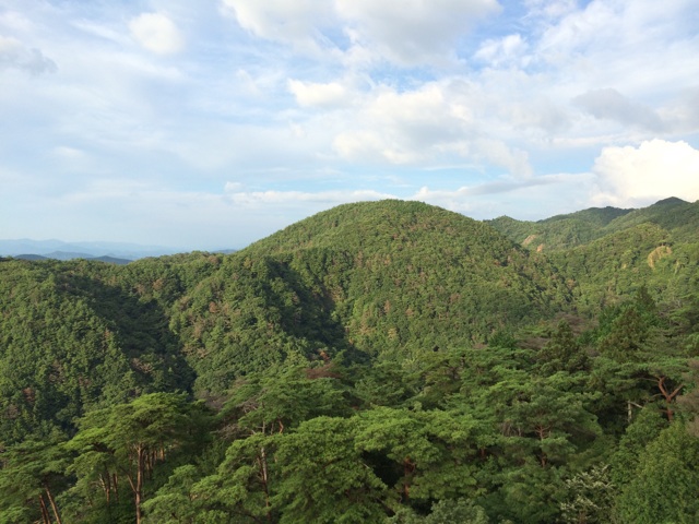 ロープウェイからの眺望は絶景