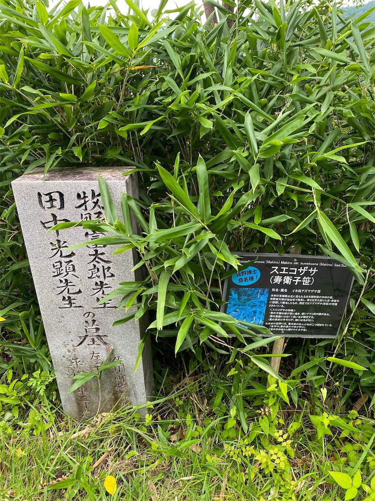 [f:id:hatenablog:20170217161727j:plain:title=:alt=]