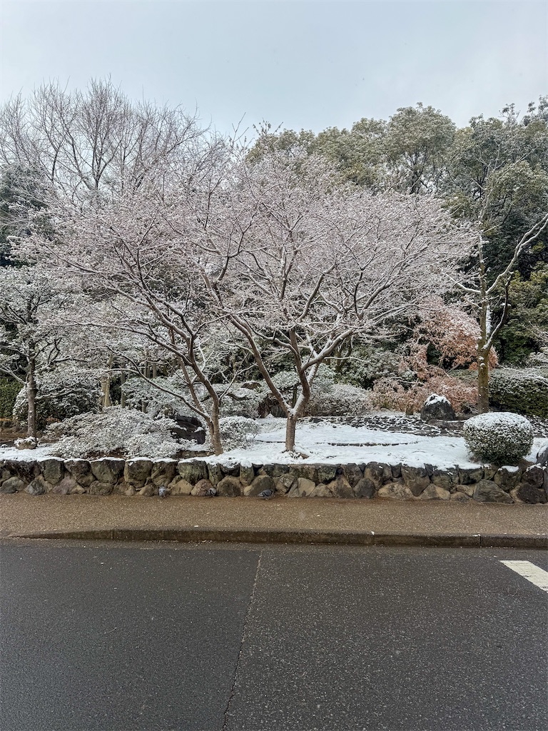 [f:id:hatenablog:20170217161727j:plain:title=:alt=]