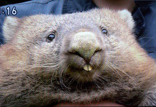 f:id:sennsei:20190720005902j:plain