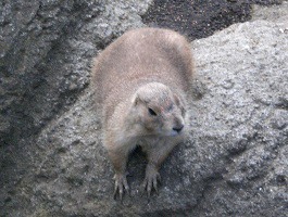 f:id:sennsei:20190929201613j:plain f:id:sennsei:20190929201613j:plain