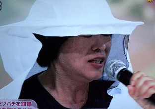 f:id:sennsei:20201115004332j:plain