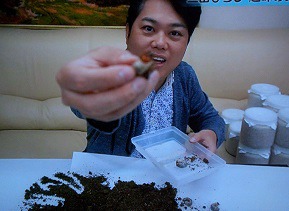 f:id:sennsei:20210213224357j:plain