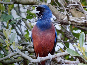 f:id:sennsei:20210417161425j:plain