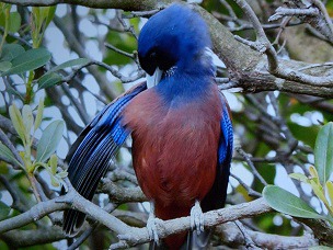 f:id:sennsei:20210417161439j:plain