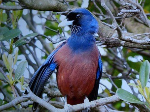 f:id:sennsei:20210417161451j:plain