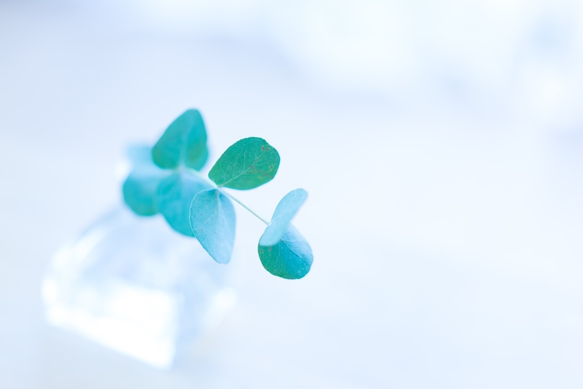 f:id:senona:20190731011207j:plain f:id:senona:20190731011207j:plain