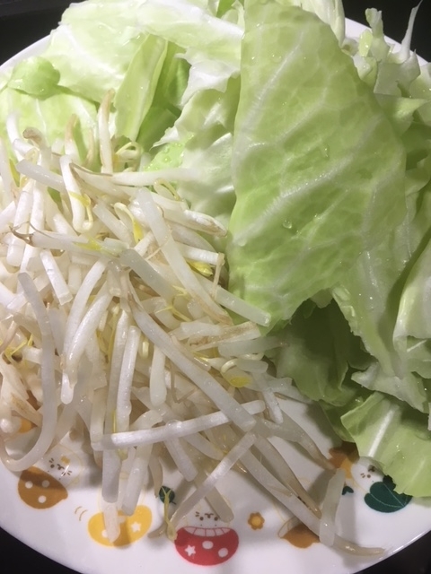 f:id:senonichijo:20180708183435j:plain