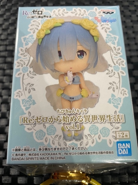 f:id:senonichijo:20210116165438j:plain