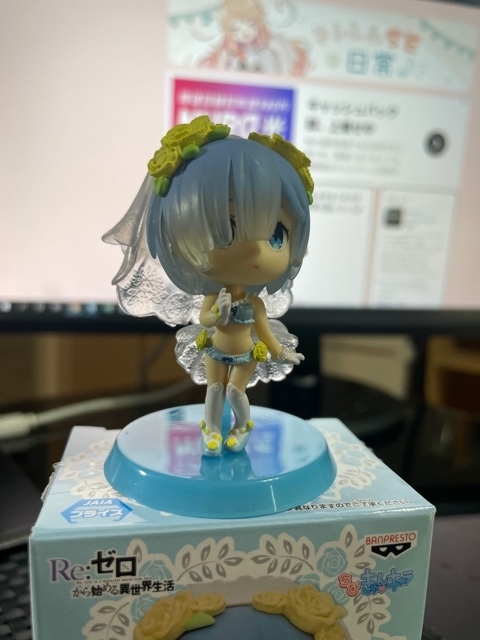 f:id:senonichijo:20210116165529j:plain