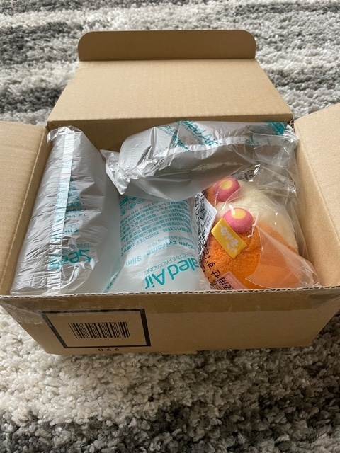 f:id:senonichijo:20210911163051j:plain