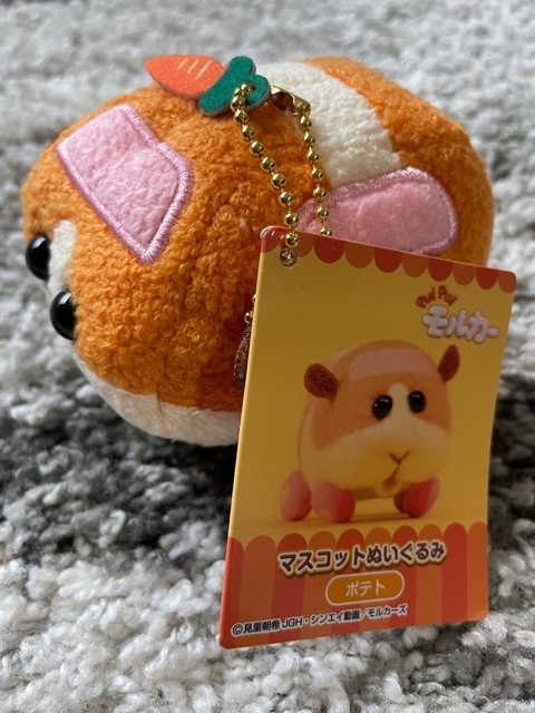 f:id:senonichijo:20210911163129j:plain