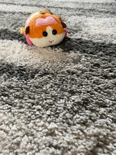 f:id:senonichijo:20210911163200j:plain