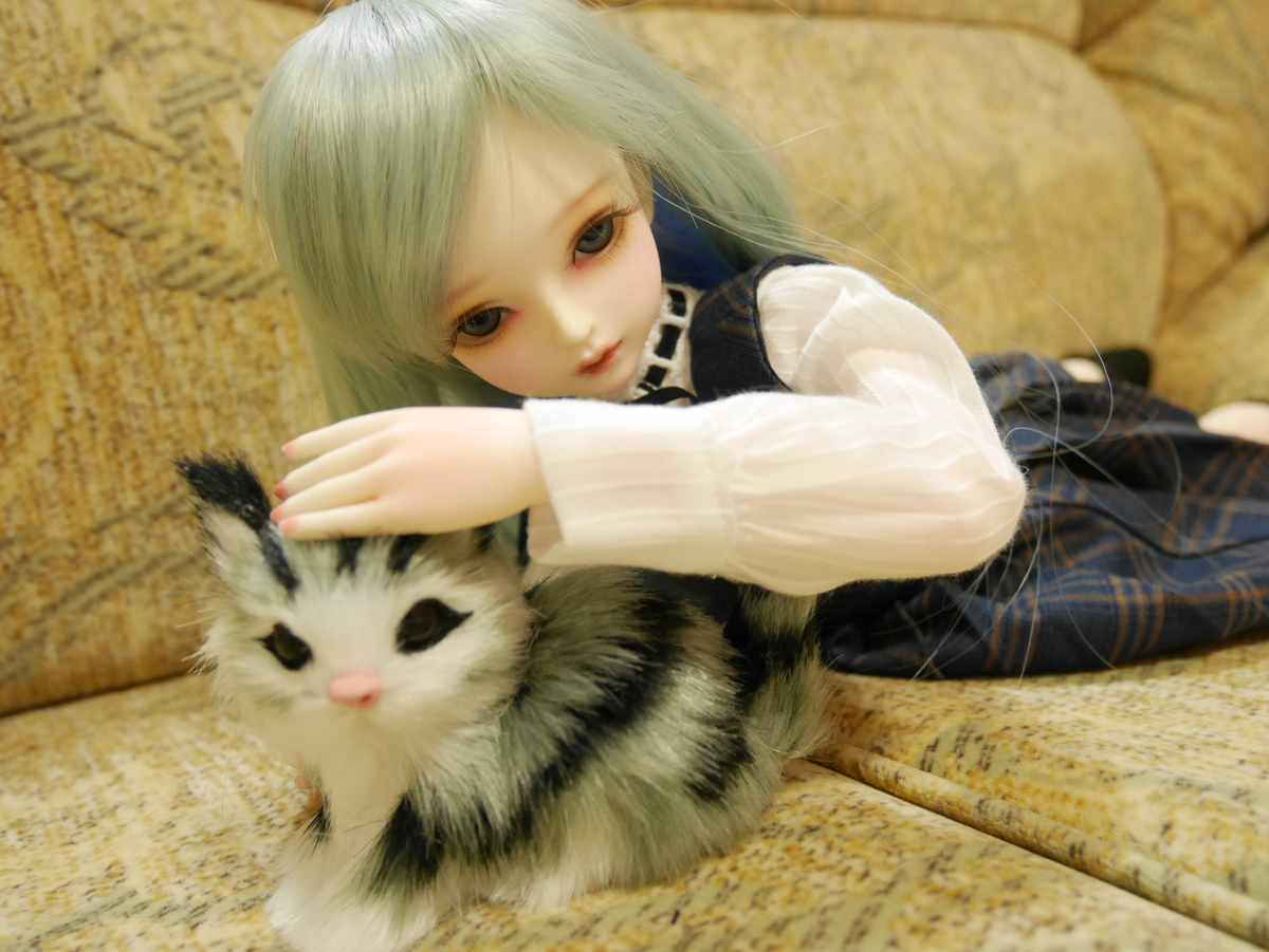 f:id:senri1512:20210621141752j:plain