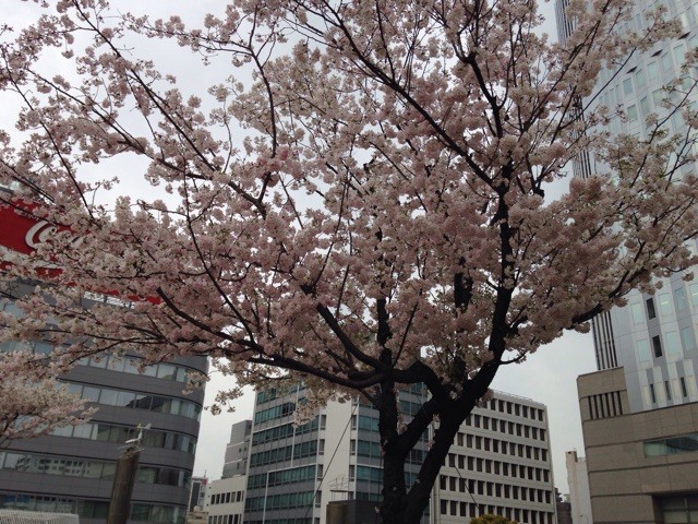f:id:senri4000:20150412222138j:plain