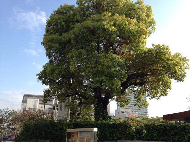 f:id:senri4000:20150426211542j:plain