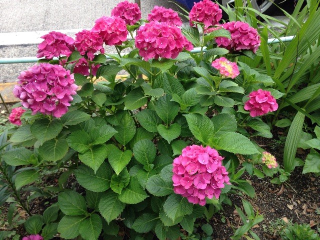 f:id:senri4000:20150614215308j:image