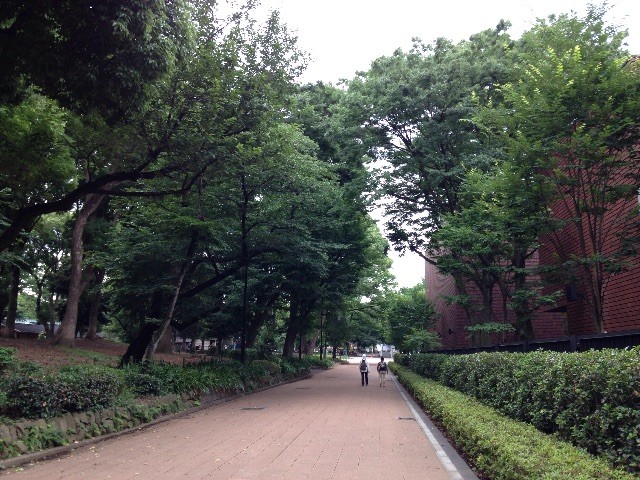 f:id:senri4000:20150619080145j:image