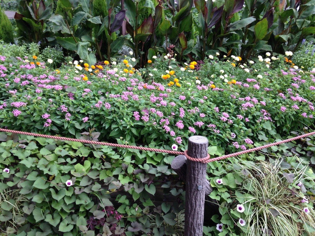 f:id:senri4000:20150830170723j:image