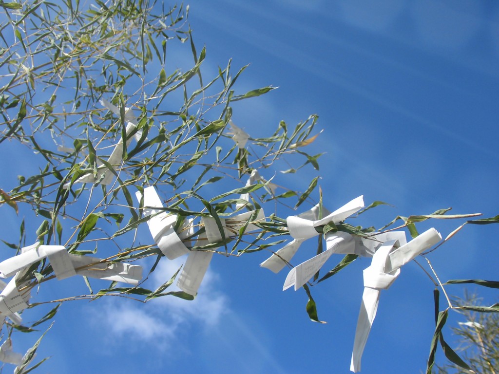 f:id:senri4000:20160131222827j:plain