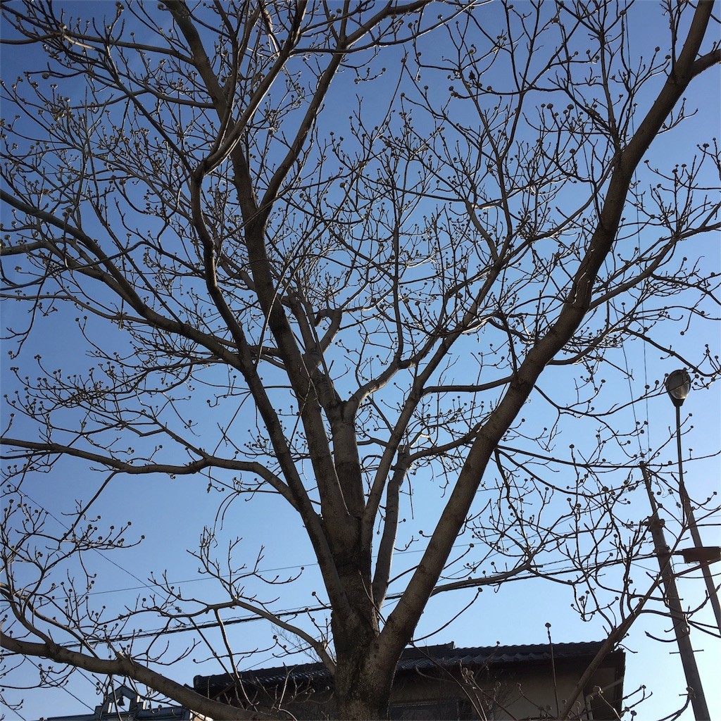 f:id:senri4000:20160322122420j:image