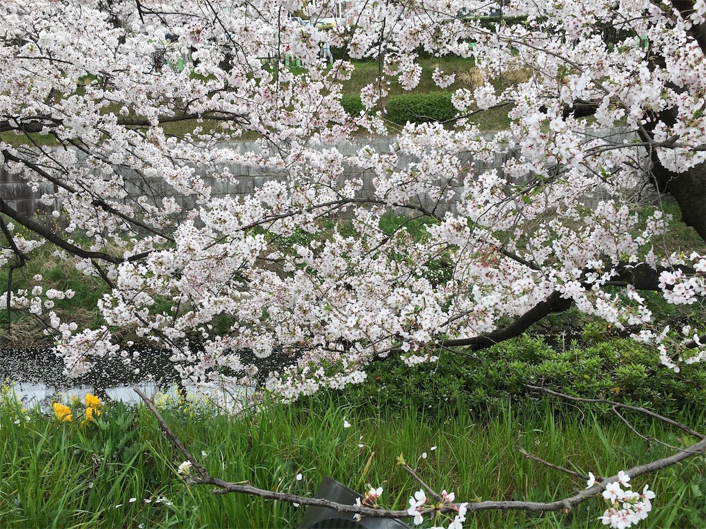 f:id:senri4000:20160409141756j:image