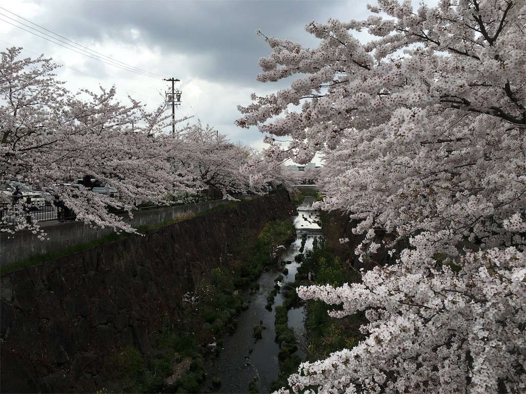 f:id:senri4000:20160412082313j:image