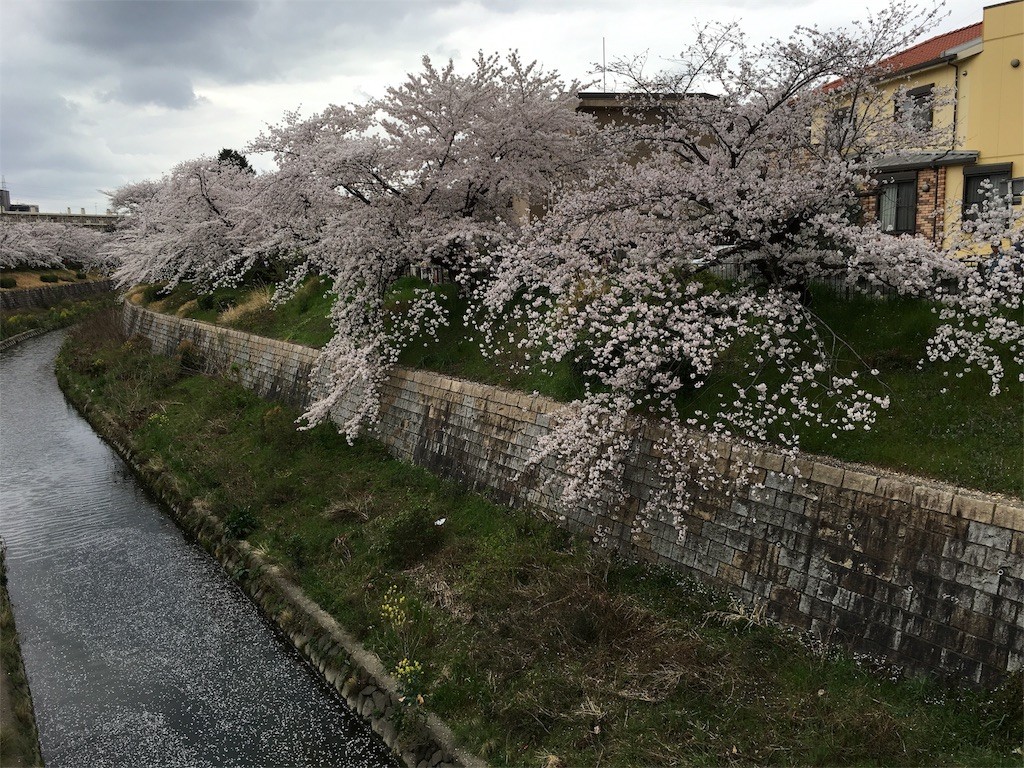 f:id:senri4000:20160412082428j:image