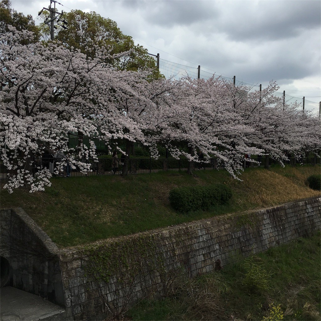 f:id:senri4000:20160412082450j:image