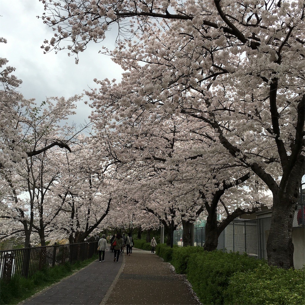 f:id:senri4000:20160412082508j:image